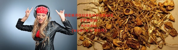 альфа пвп Верхнеуральск